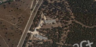 Exposición: El CRAS Madrid cras