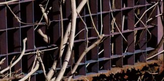 Que nadie tenga que morir para conseguir un Tres Cantos Seguro Mantenimiento de Tres Cantos