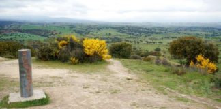 Valdeloshielos: aprovecha el momento. Más bonito que nunca.