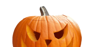 Taller de Halloween: Hacemos calabazas