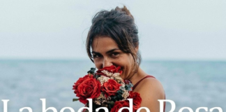 Cine forum: La boda de Rosa