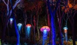 Propuesta cultural: Explorium en el Real Jardín Botánico