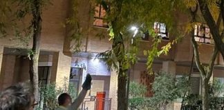 El vuelo de rapaces reduce a la mitad el número de las grajillas que ocasionan molestias en algunas zonas de la ciudad