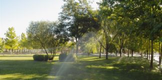 El Ayuntamiento implanta un sistema de telegestión para el riego de los parques y jardines de Tres Cantos de forma inteligente
