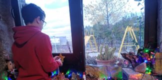 Actividades municipales y de iniciativa privada en Navidad en Tres Cantos