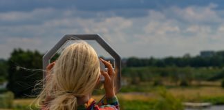 Ruta familiar: Observación de aves por el Parque de los Alcornoques