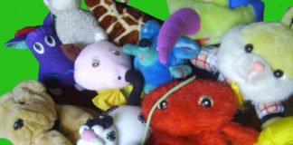 BBcuento: Nacer, menuda historia