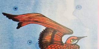 Te cuento una música