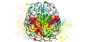 Conferencia: Autoprogramación para la vida