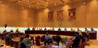 El Pleno aprueba el Plan Municipal de Infancia y Adolescencia (entre otras cosas)