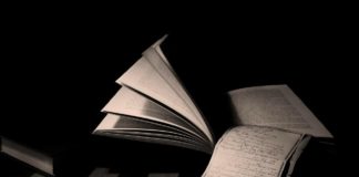 Mesa redonda: Novela negra