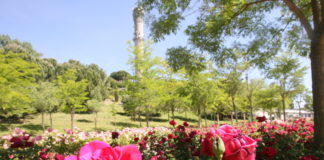 El PSOE de Tres Cantos presenta una moción para dotar de vida los parques de la ciudad