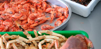 Las casas regionales de Galicia, Andalucía y Asturias organizan, este fin de semana, la Feria del Marisco, una Xuntanza, la Feria Andaluza y una Foliada Aberta