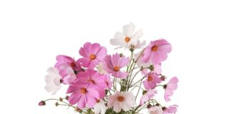 Taller familiar de manualidades: Ramo de flores primaveral