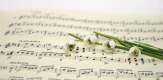 Taller canción-poema en familia