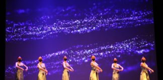 Festival de danza española y flamenco