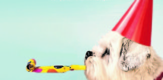 Tres Cantos celebra el ‘Día de la Mascota’: jornada de concienciación sobre la tenencia de animales