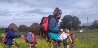 Actividades y colonias semanales de la Casa de la Juventud