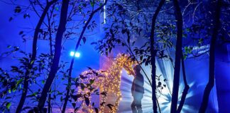 Propuesta cultural: Naturaleza encendida en el Real jardín botánico