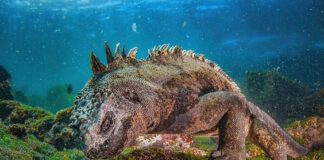 Exposición fotográfica de FONOMAD