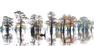 XVII Jornadas de FONAMAD 2022 (Fotógrafos de Naturaleza de Madrid)