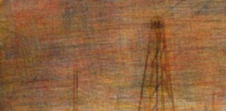 Exposición Marina Olalla: Tricomías