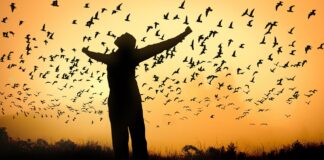 Club adolescente: La magia de creer en ti