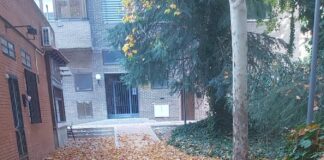 El Ayuntamiento «adelanta» la campaña de recogida de la hoja cuando Tres Cantos ya está tapado