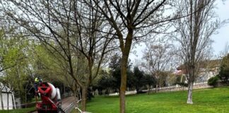 Acaban las obras en Artesanos y comienza la reforma de los caminos del Parque Central