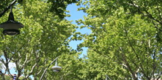 Inútil Zona de Bajas Emisiones para vehículos sin etiqueta no empadronados en avenidas de Colmenar y de Viñuelas