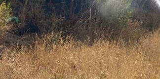 El día después: investigación independiente, vigilancia policial y prevención en lo incendiado