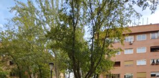 ¿Por qué es tan difícil hacer vivienda económica?, por Luis Mosquera