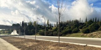 Campaña de invierno en Tres Cantos: 91.000 € no para los necesitados: para «flores de temporada», 3.000 arbustos y más de 100 árboles