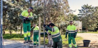 El Ayuntamiento de Tres Cantos «inicia» las plantaciones del 2025