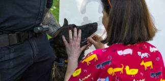 El Ayuntamiento obliga ya a los propietarios de perros a registrar el ADN antes del 28 de febrero