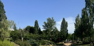 ¿Cuidamos los espacios verdes y el estanque del Sector Islas y la «laguna» del Parque Central?