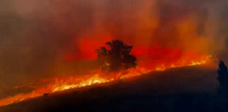 PSOE de Tres Cantos: batería de propuestas al Pleno para prevenir incendios