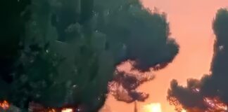 La noche que nos hizo polvo, y demos gracias, por Luis Mosquera