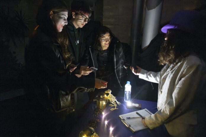 53302529778_4018d8a4f0_3k-768x512