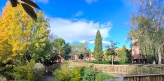 Tres Cantos repite el tratamiento contra la procesionaria y «refuerza» el «plan de reverdecimiento» en la zona norte. ¿La incendiada por no prevenir?