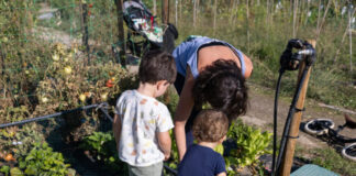 Convocatoria municipal para 52 huertos urbanos en el Parque Sur haciendo competencia desleal a la iniciativa privada