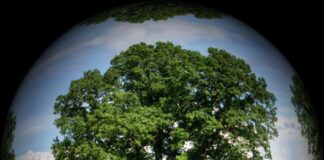 Proyecto pionero para fomentar el desarrollo sostenible en los centros públicos de salud de Tres Cantos