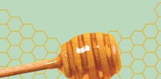 Este fin de semana la I Feria de la Miel de la Comunidad de Madrid en Tres Cantos