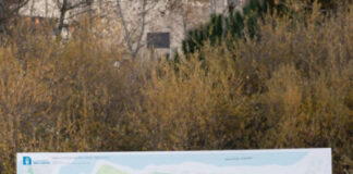 Promoción de la semana del alcalde: áreas deportivas y recreativas del Metropolitan Park