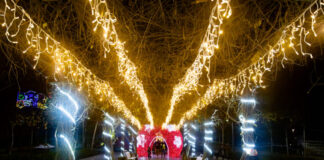 Gran evento en la Plaza Central de Tres Cantos para iluminar la Navidad este sábado