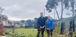 El Ayuntamiento pone a disposición de ALGUNOS vecinos de Soto de Viñuelas 3.400 plantas para regenerar lo incendiado por sus negligencias