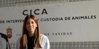 El CICA se traslada tras un año de abandono a los felinos a su suerte