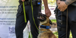 Publirreportaje al modelo de ADN canino implantado en Tres Cantos ¿en Roma?