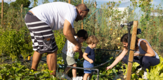 Sorteo de 52 huertos urbanos el martes 17 en el Teatro Municipal sin hora. No quieren que vayas…