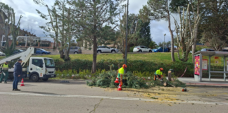 El Ayuntamiento INTENTA proteger a los ciudadanos tras las fuertes rachas de viento, y agradece la colaboración vecinal